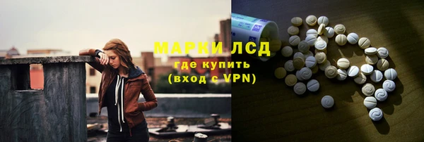 ПСИЛОЦИБИНОВЫЕ ГРИБЫ Нея