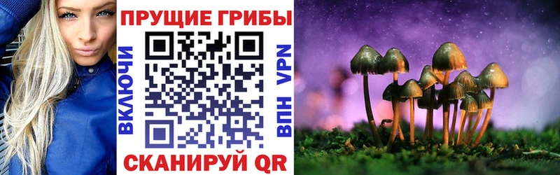 Купить закладки  Жуковка  Псилоцибиновые грибы мухоморы 